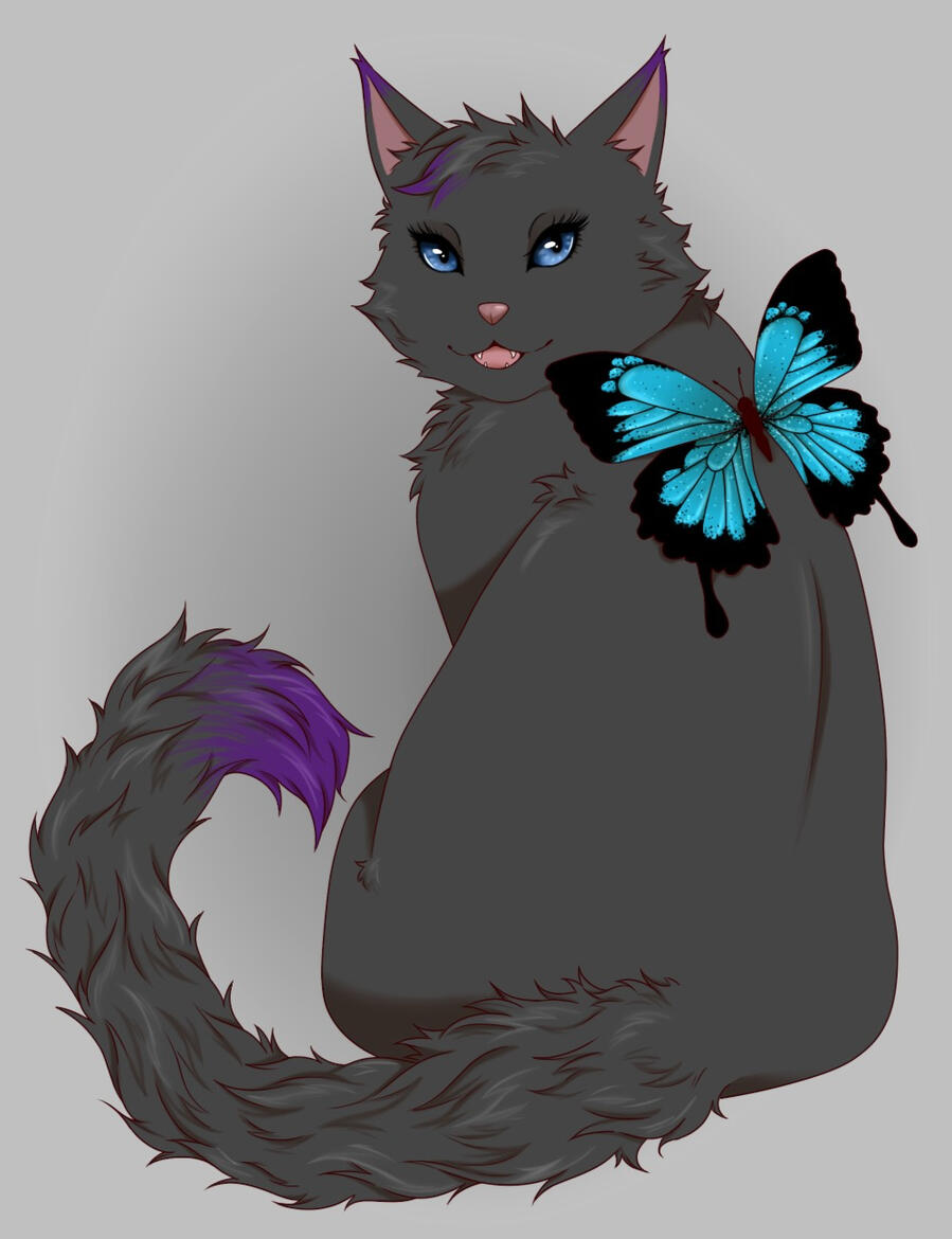 Cat Eva Cat Eva